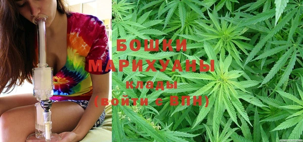 прущие крисы Белокуриха