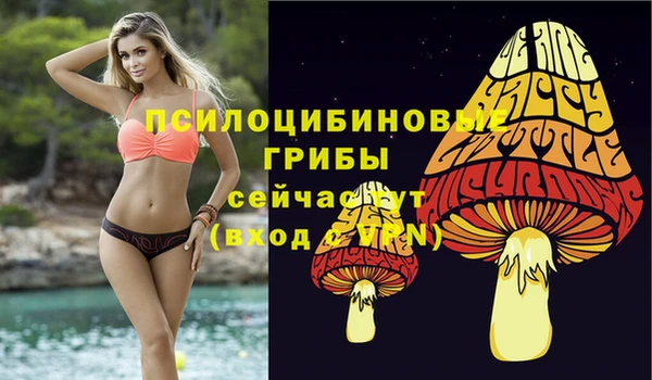 MDMA Premium VHQ Беломорск