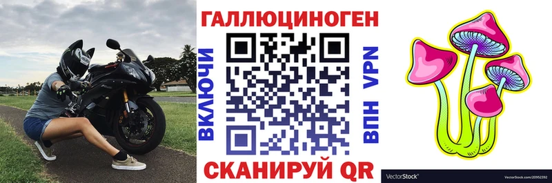 наркота  Давлеканово  darknet клад  Галлюциногенные грибы Psilocybe 